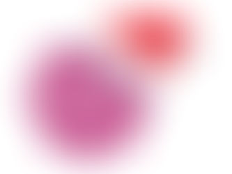 INVITAȚIE ȘCOLI Timișoara și Dumbrăvița la  FESTIVALUL BRAZILOR DE CRĂCIUN