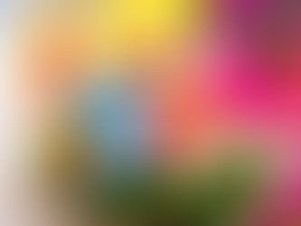 Invitație participare Târg Festival Florall Iași 3 - 5 Octombrie 2025 