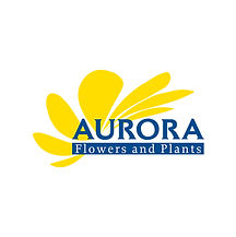 aurora-logo.jpg