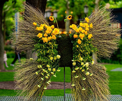 Fotocorner Butterfly Anca Vlad_edited.jpg