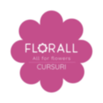 PACHET INTEGRAL 3 ZILE CURSURI